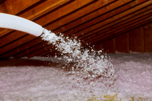 Best Cellulose Insulation  in Four Oaks, NC