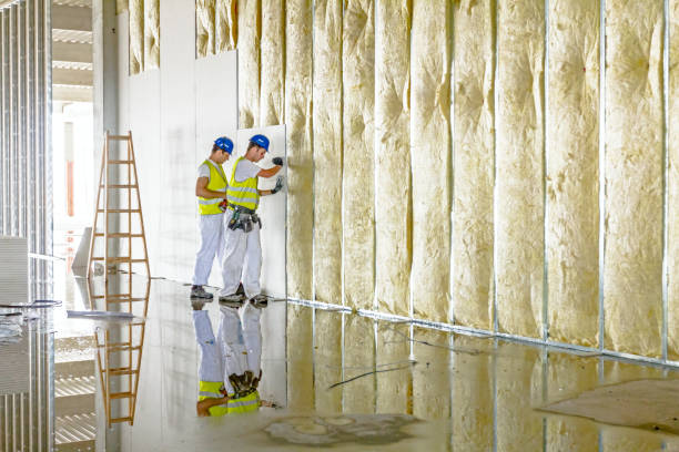 Best Spray Foam Insulation  in Four Oaks, NC